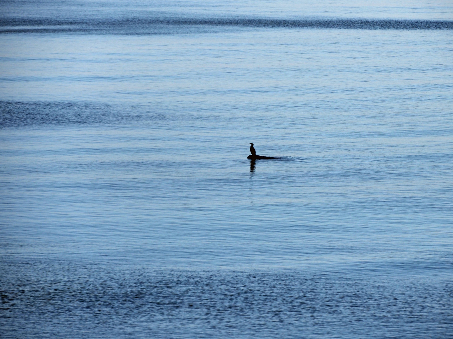 Reif für die INSEL