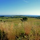 Reif für die Insel ? Dann Hiddensee