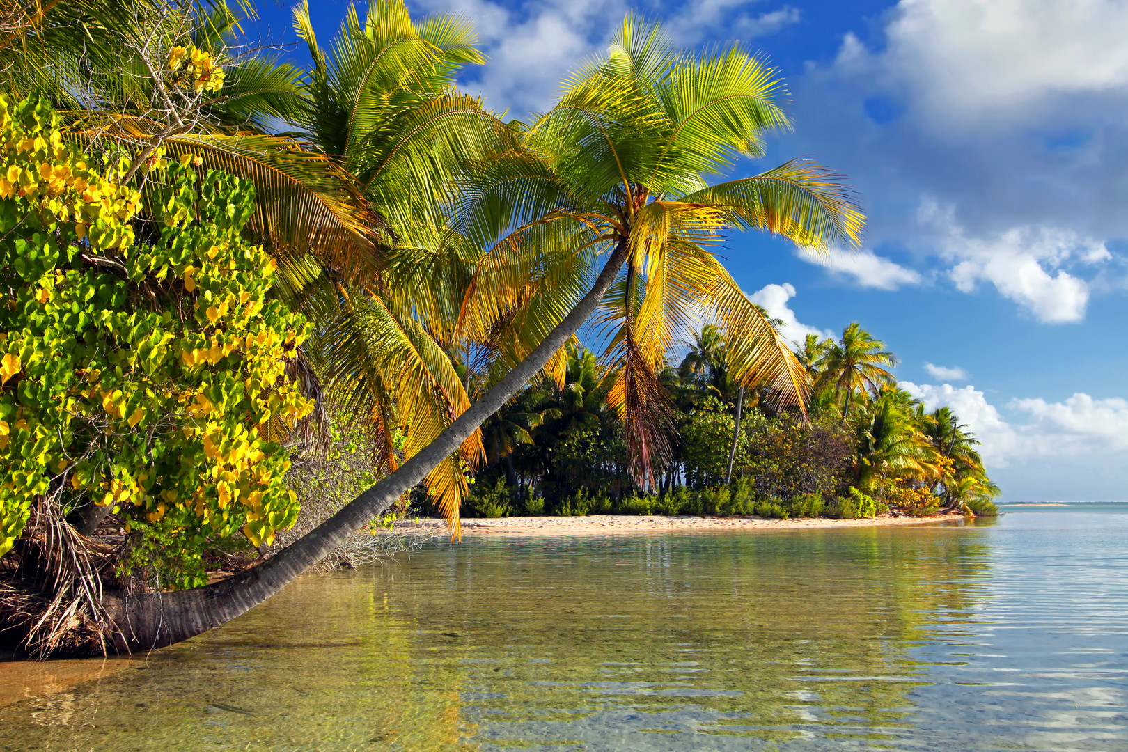 Reif für die Insel