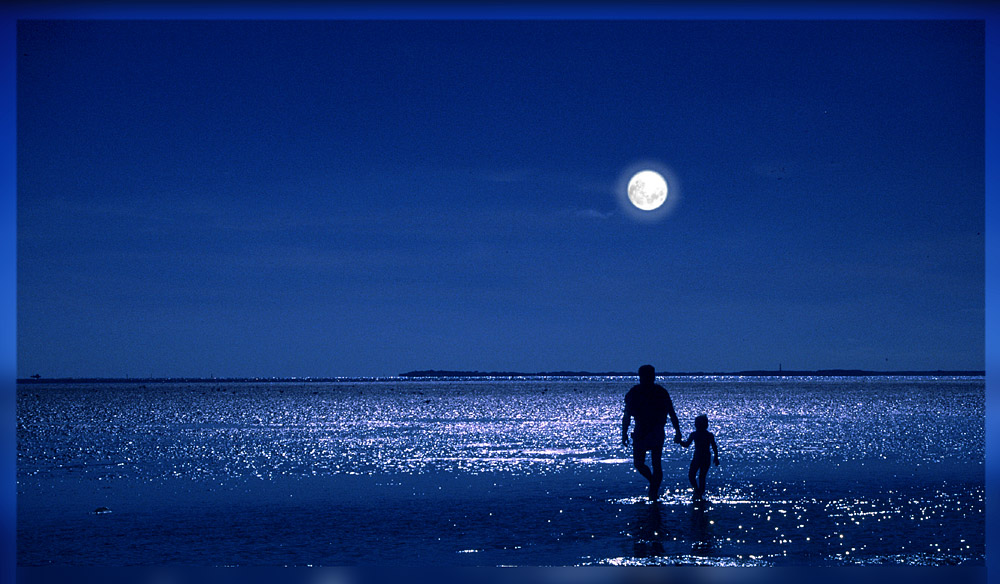 Reif für die Insel (Föhr)