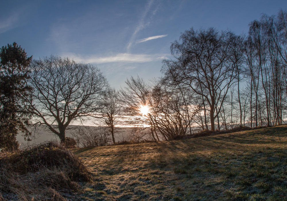 Reif für die Sonne