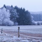 Reif im weiten Feld