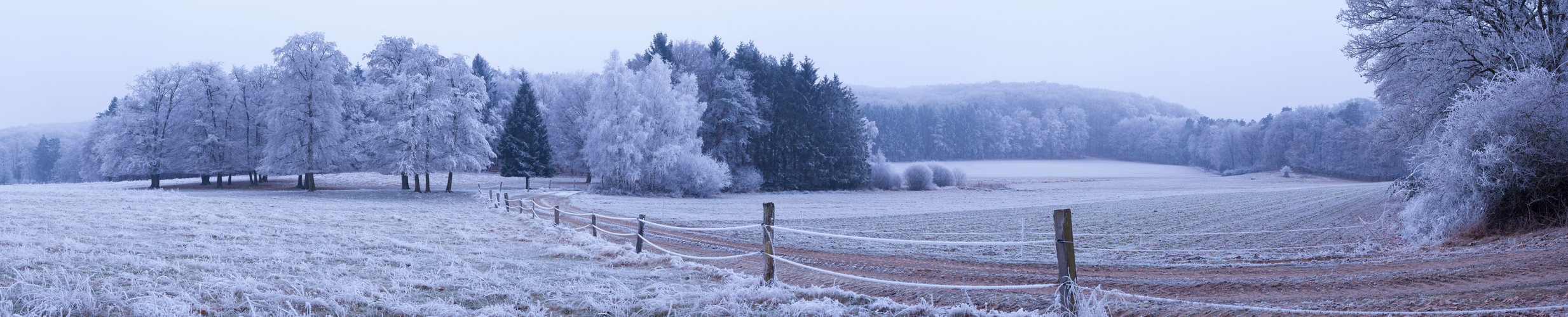 Reif im weiten Feld