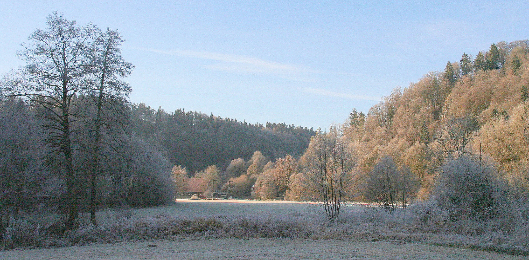 Reif in Licht und Schatten