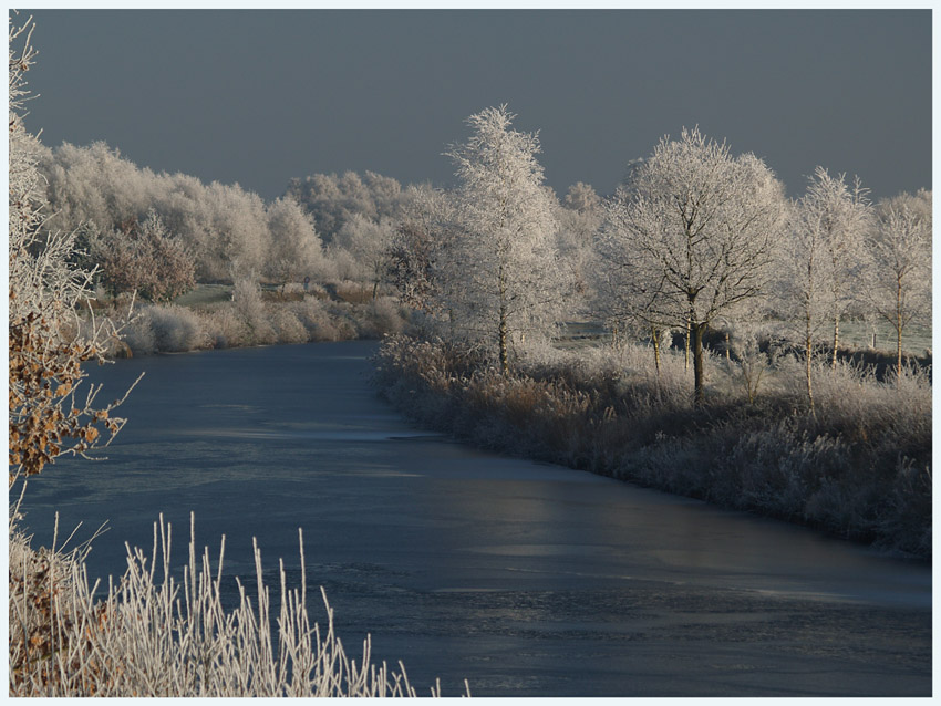 Reif, reifer - Winter