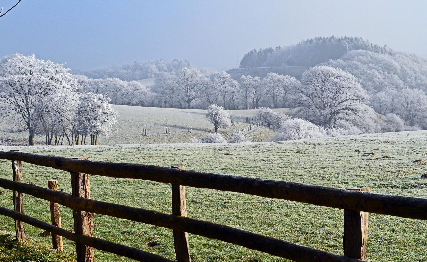 Reif-Tag in der Eifel