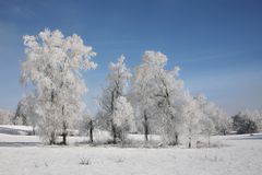 Reif und blauer Himmel