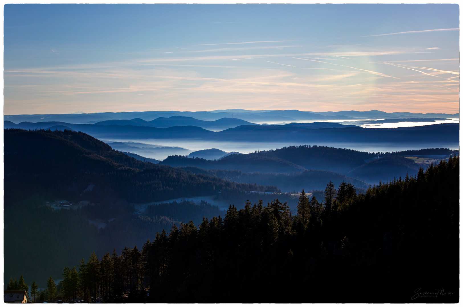 Reif und Nebel