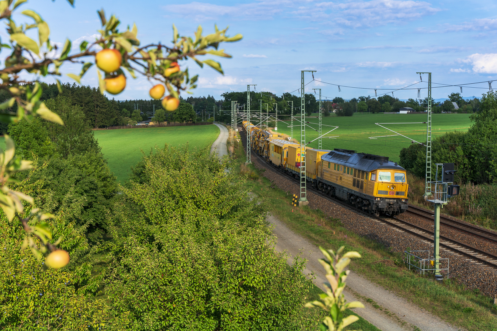 Reife Äpfel mit Eisenbahnbezug...