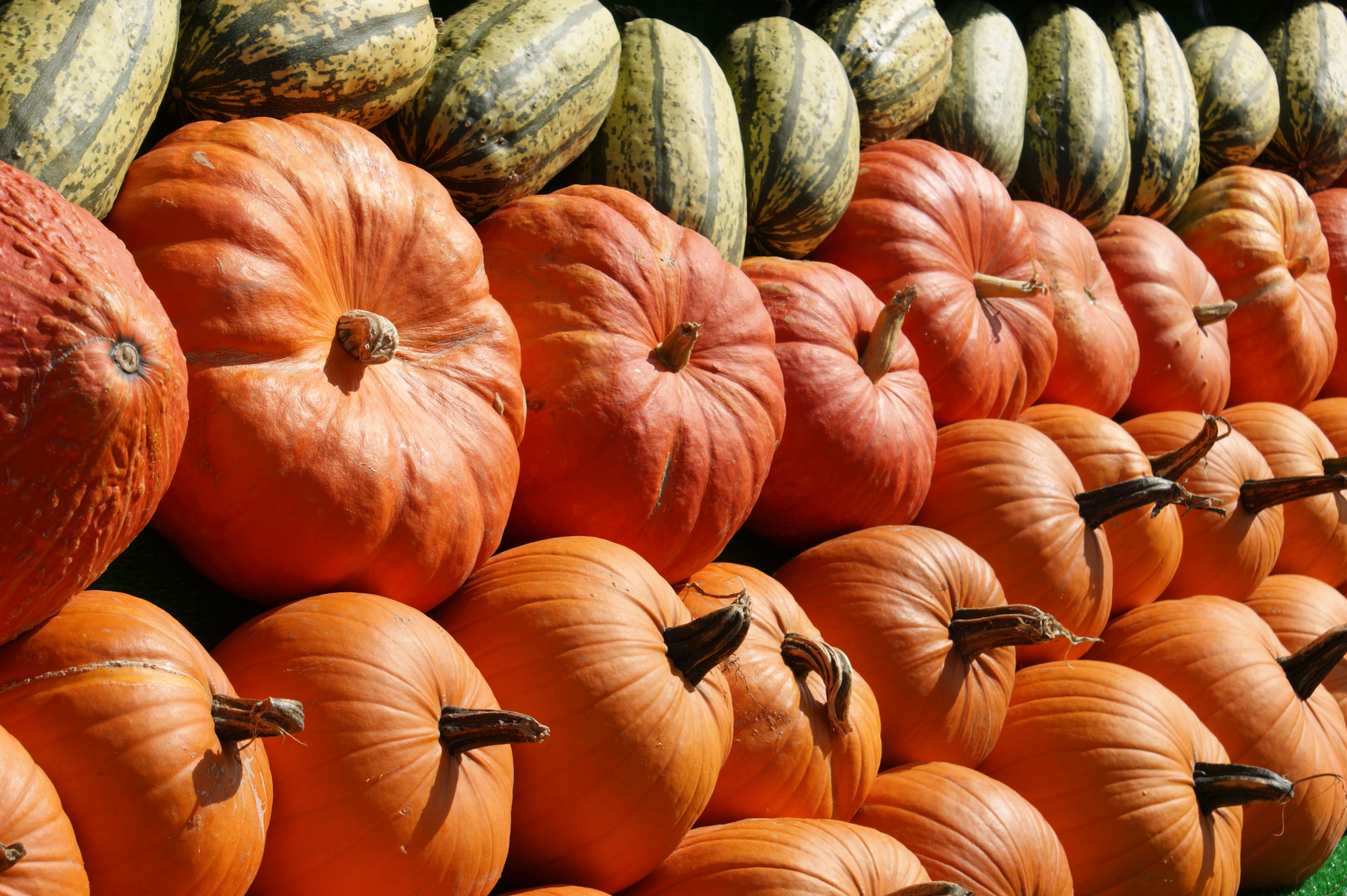 Reife Früchte im Herbst