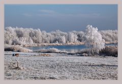 "reifer" Augenblick am Raßnitzer See