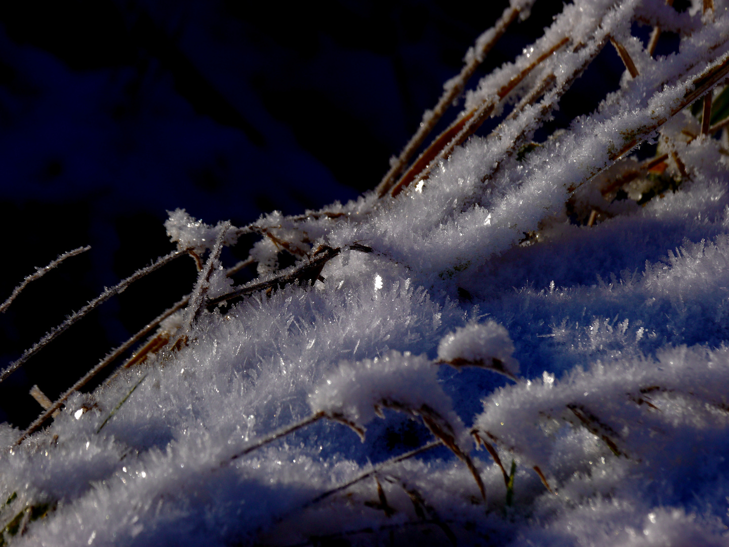 Reifglitzern am Wegesrand