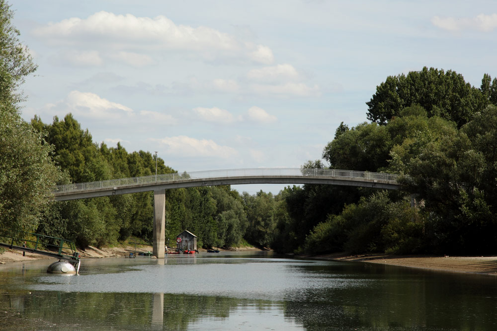 Reihbrücke auf den Kühkopf