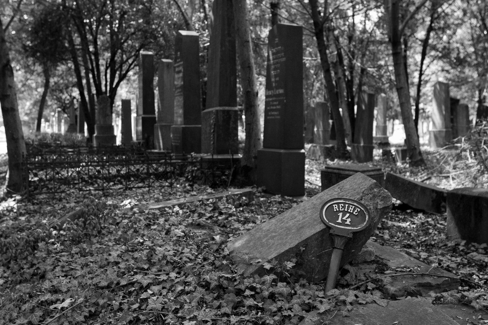 Reihe 14, Zentralfriedhof Wien