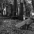 Reihe 14, Zentralfriedhof Wien