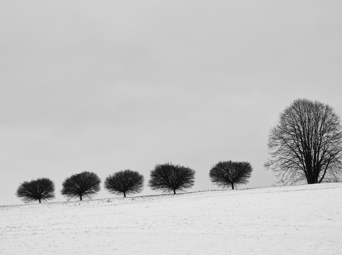 Reihenfolge im Winter