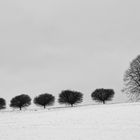 Reihenfolge im Winter