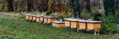 REIHENHAUSSIEDLUNG AM RANDE DES HERBSTES