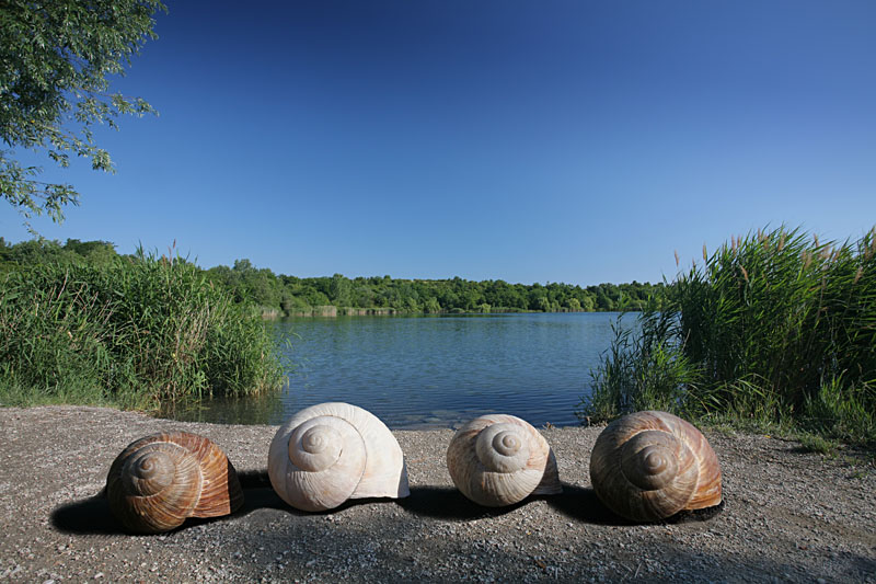 Reihenhaussiedlung am See ;-)