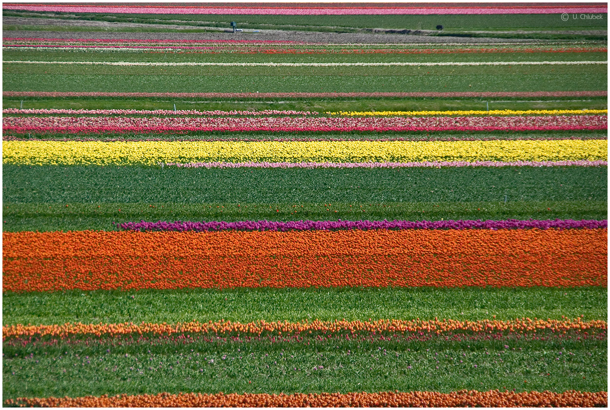 reihenweise bunt