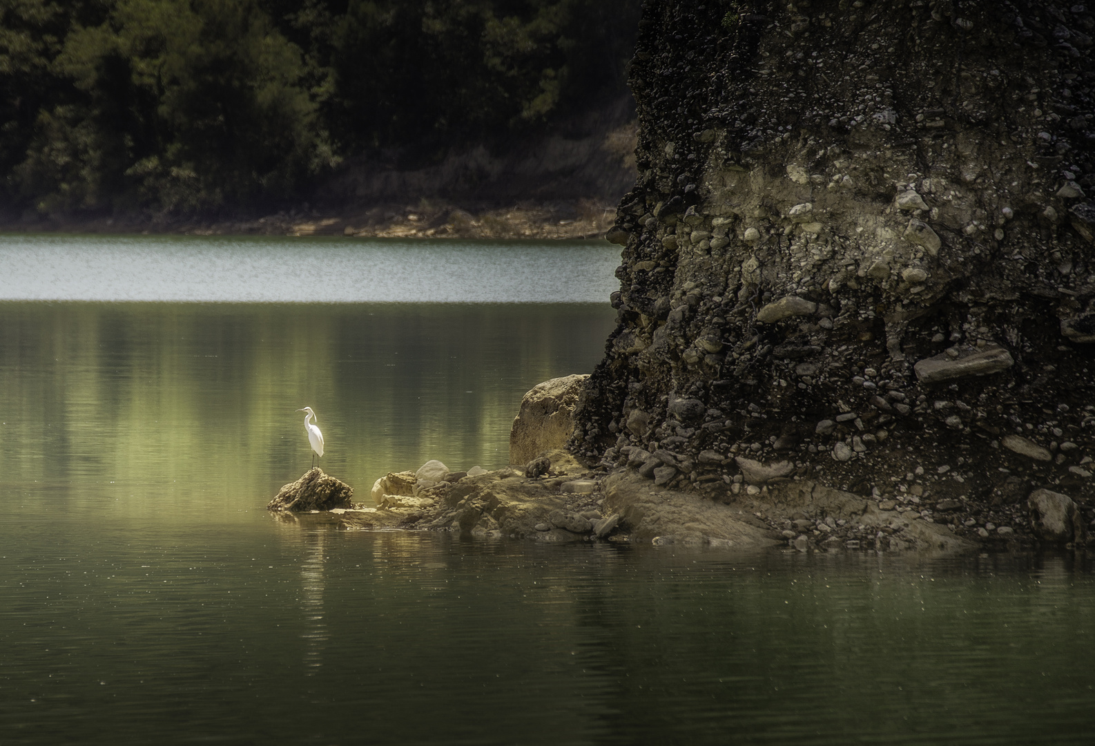 Reiher am Manavgatstausee