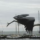 Reiher auf dem Abflug im Hafen von Volendam