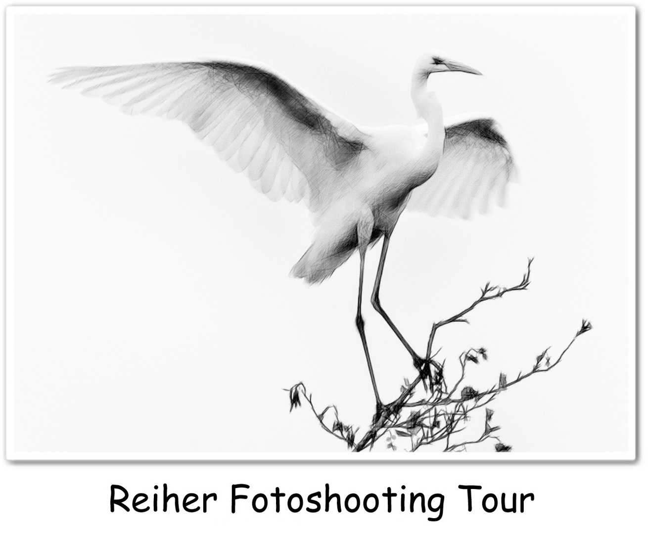 Reiher Foto Shooting Tour 2015