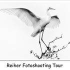 Reiher Foto Shooting Tour 2015