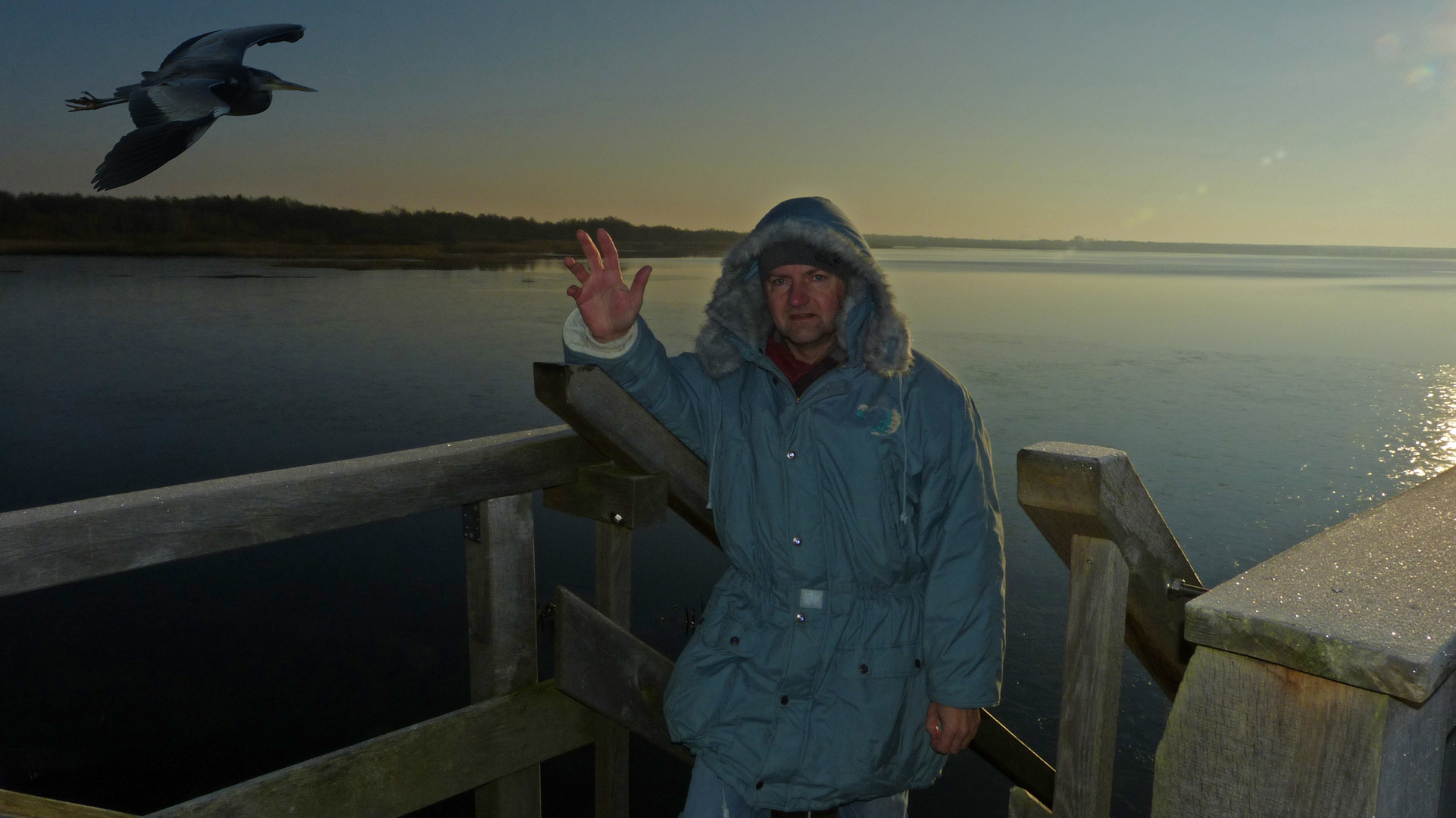 Reiher Fotoshooting Tour