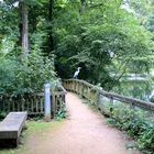 Reiher im Schlosspark