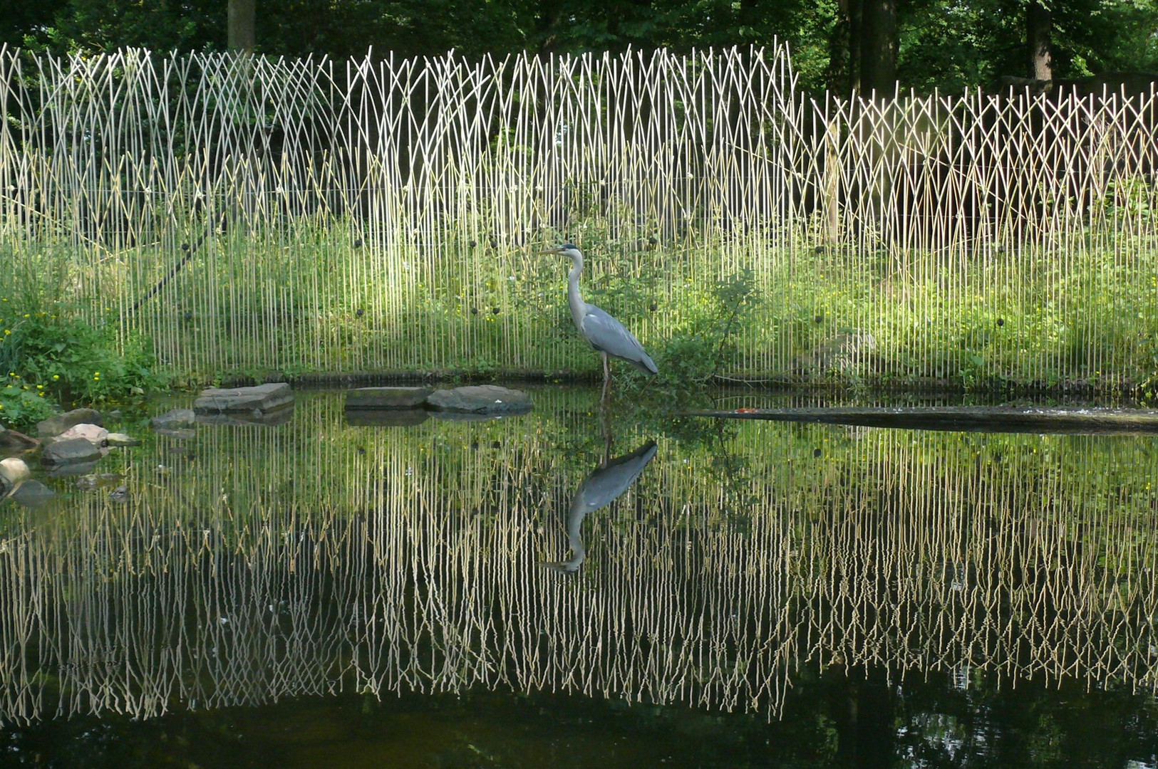 Reiher im ZOOM Erlebnispark, Gelsenkirchen