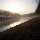 Reiher-oder-wer im frühen Winternebel