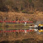 Reiher spiegelt sich mit Quietschie im Neckar