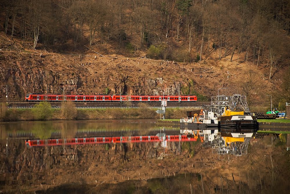 Reiher spiegelt sich mit Quietschie im Neckar