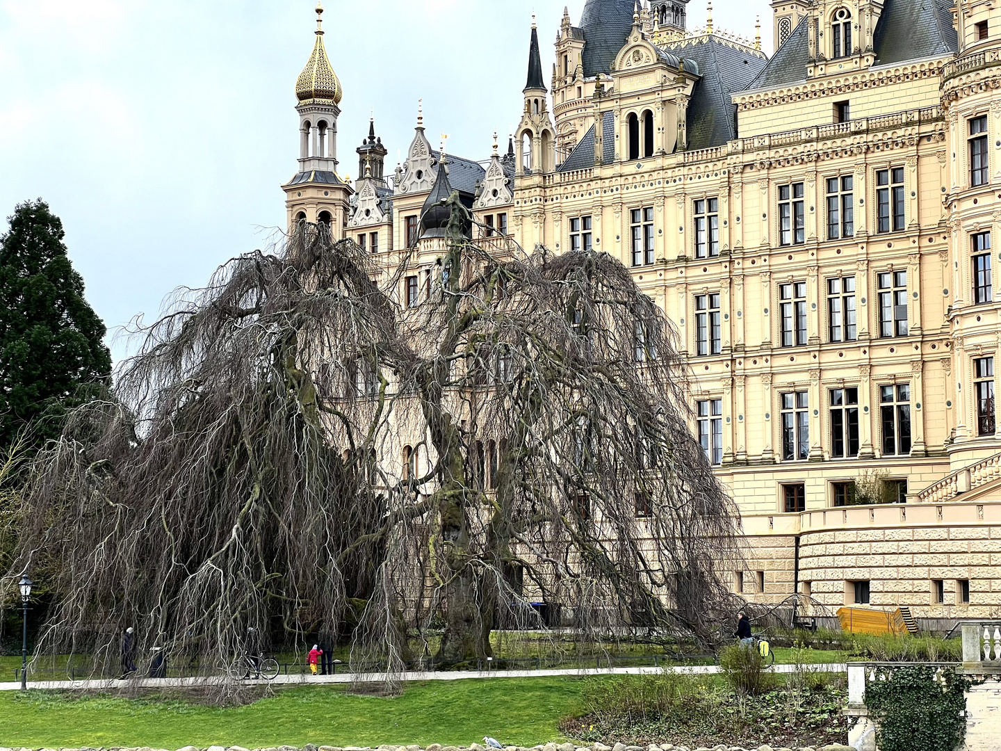 Reiher vor Hängebuche vor Schloss