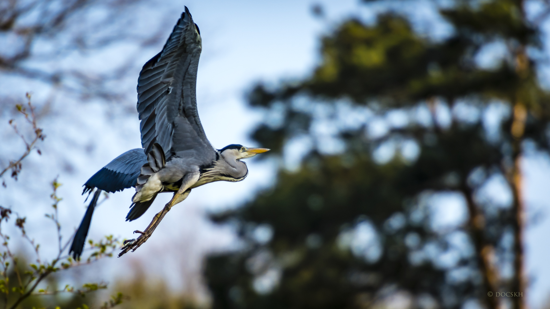 Reiherflug