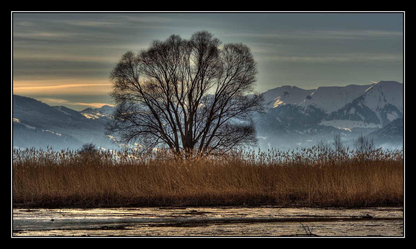 Reihndelta-Bodensee