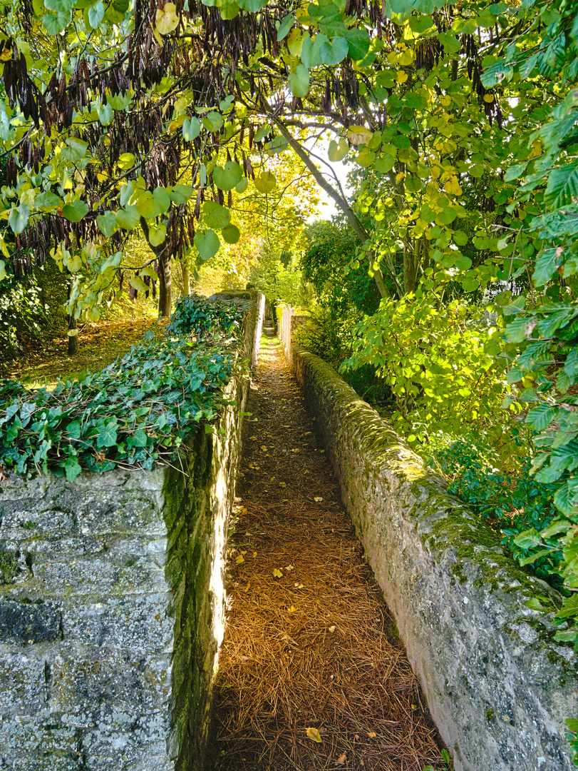 Reilchen in Flörsheim-Dalsheim