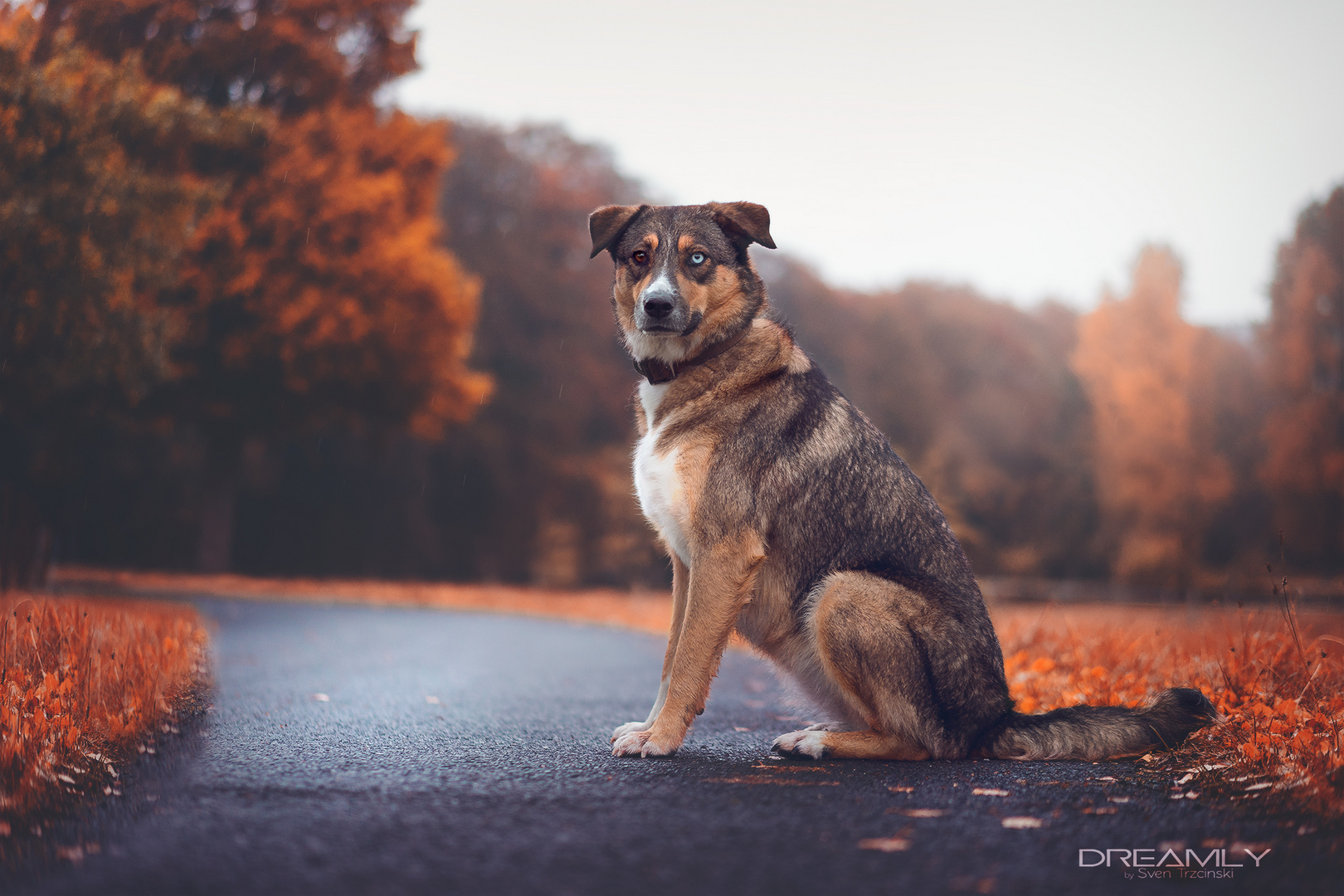 Reily in Orange Country 