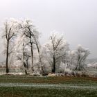 reim (Beysehir-Turkey)