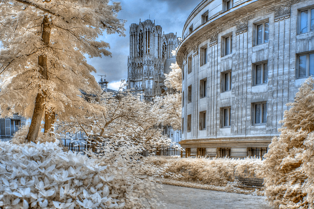 Reims Kathedrale mit Carnegie Bibliothek