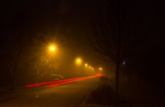 Rein in den Nebel