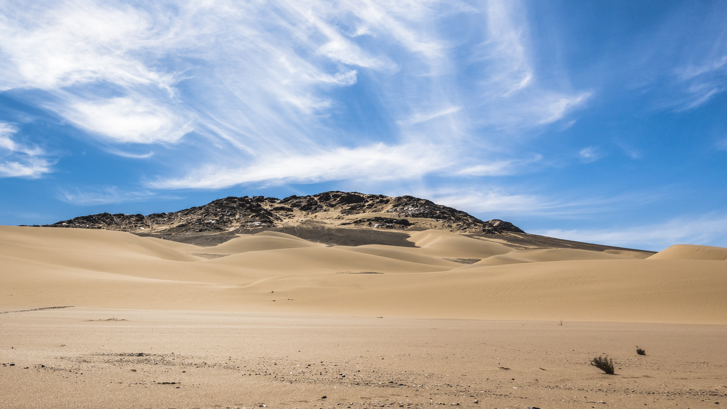 Rein in die Namib