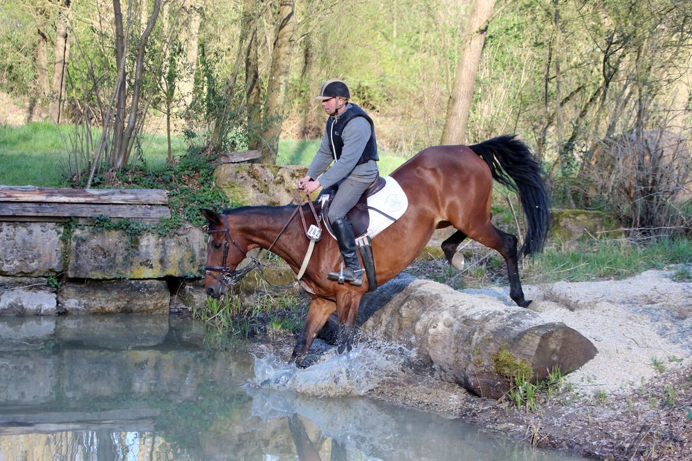 Rein ins Wasser