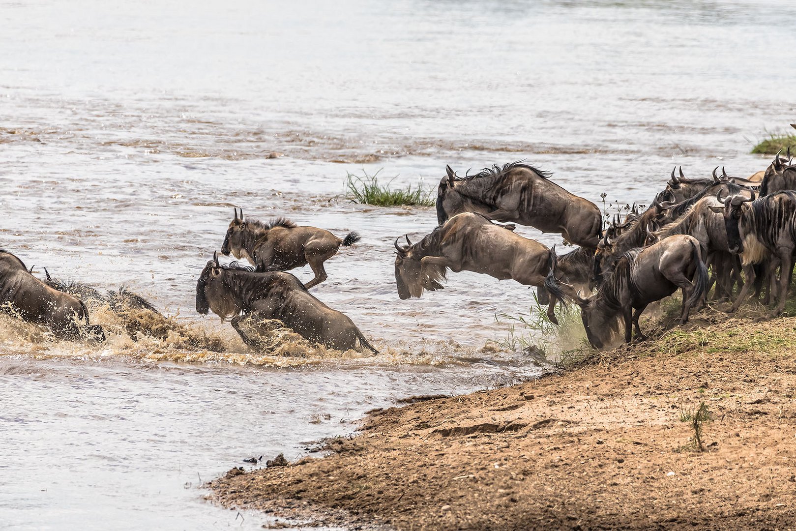 rein ins Wasser