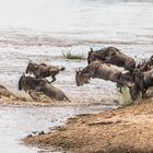 rein ins Wasser