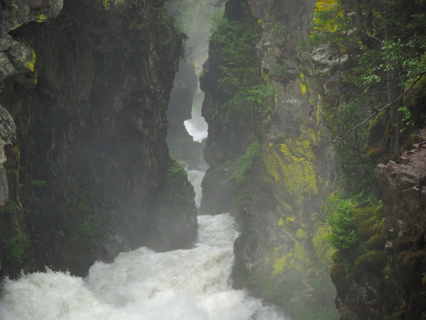 Reinbachwasserfälle im Ahrntal, Südtirol