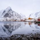 Reine