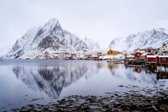 Reine