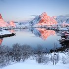 Reine